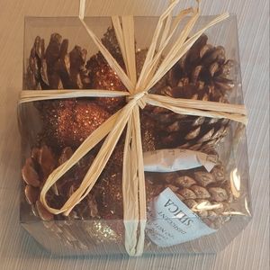 Fall Acorns and Pine Cones Set